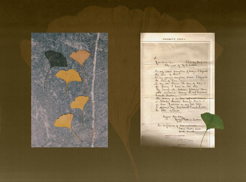 © Rachel Nixon - Image from the The Garden of Maggie Victoria photography project