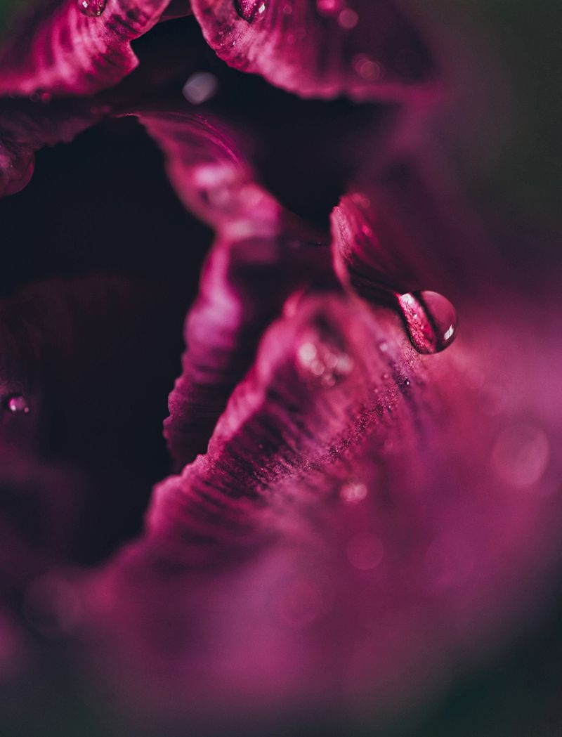 © Victoria Viprada Balaban - Image from the Color Therapy photography project