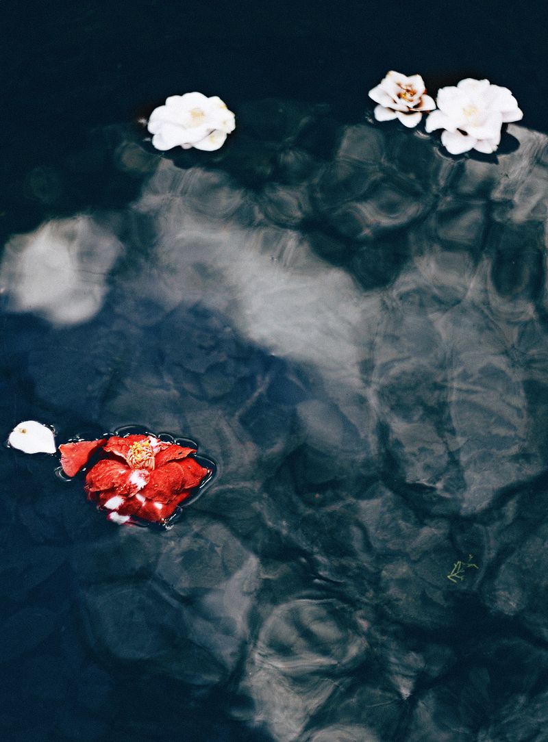 © Victoria Viprada Balaban - Image from the Color Therapy photography project