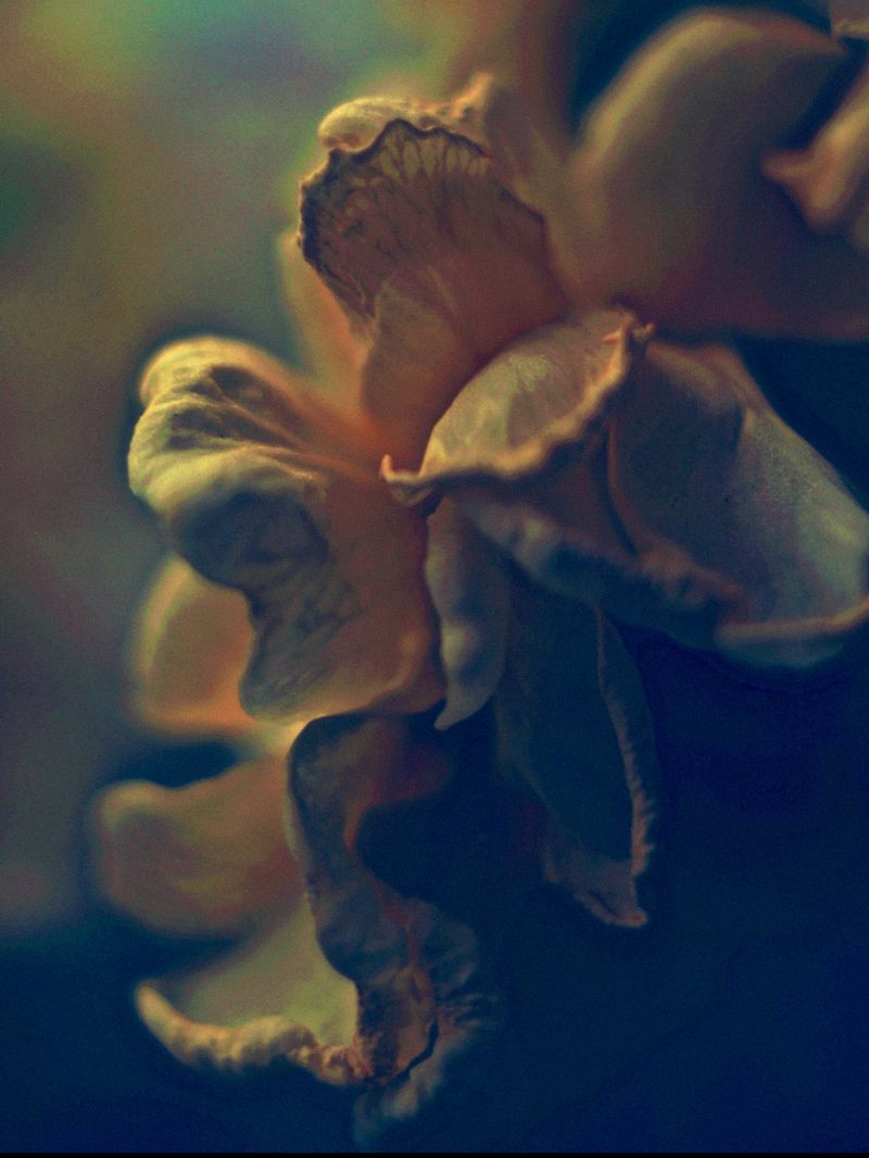 © Victoria Viprada Balaban - Image from the Color Therapy photography project