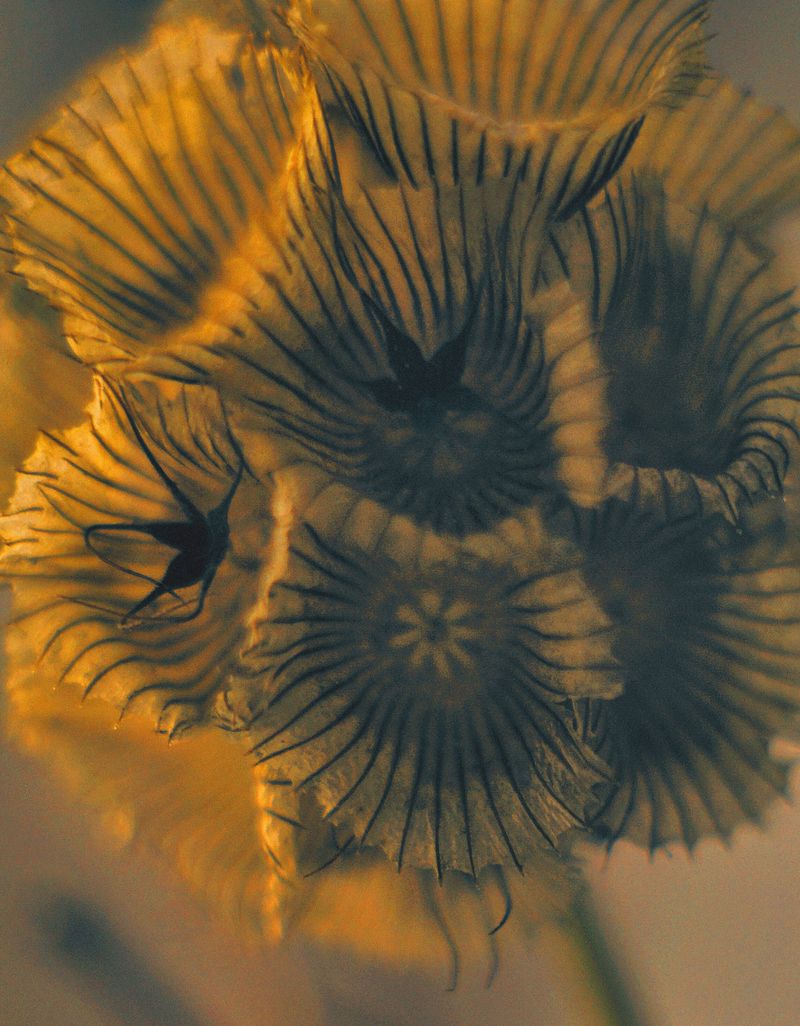 © Victoria Viprada Balaban - Image from the Color Therapy photography project