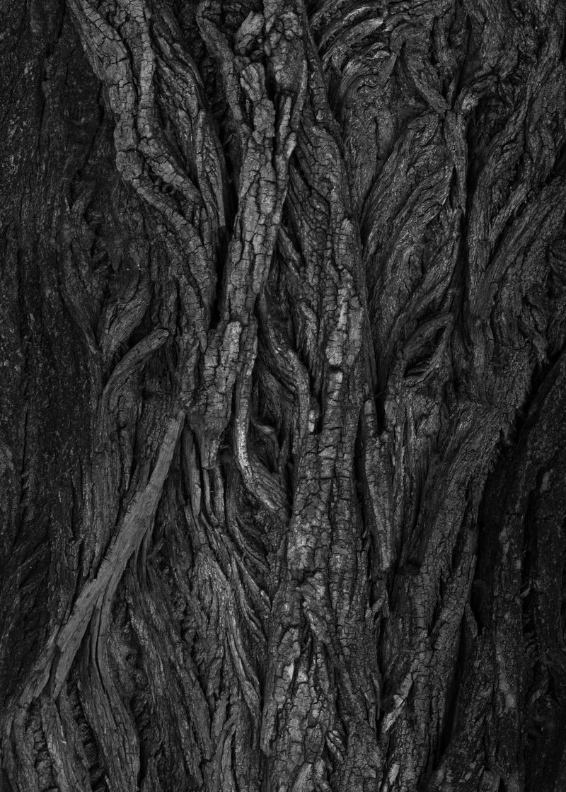 © Victoria Viprada Balaban - Image from the Through touch. photography project