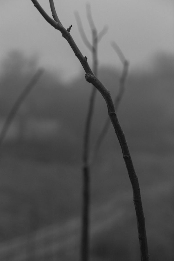 © Victoria Viprada Balaban - Image from the Through touch. photography project