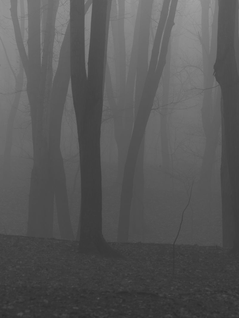 © Victoria Viprada Balaban - Image from the Through touch. photography project