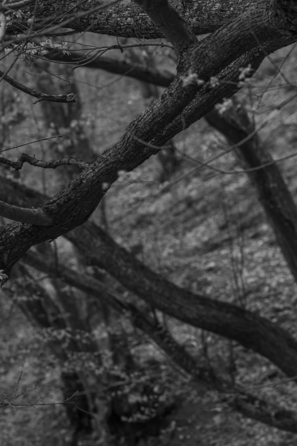 © Victoria Viprada Balaban - Image from the Through touch. photography project