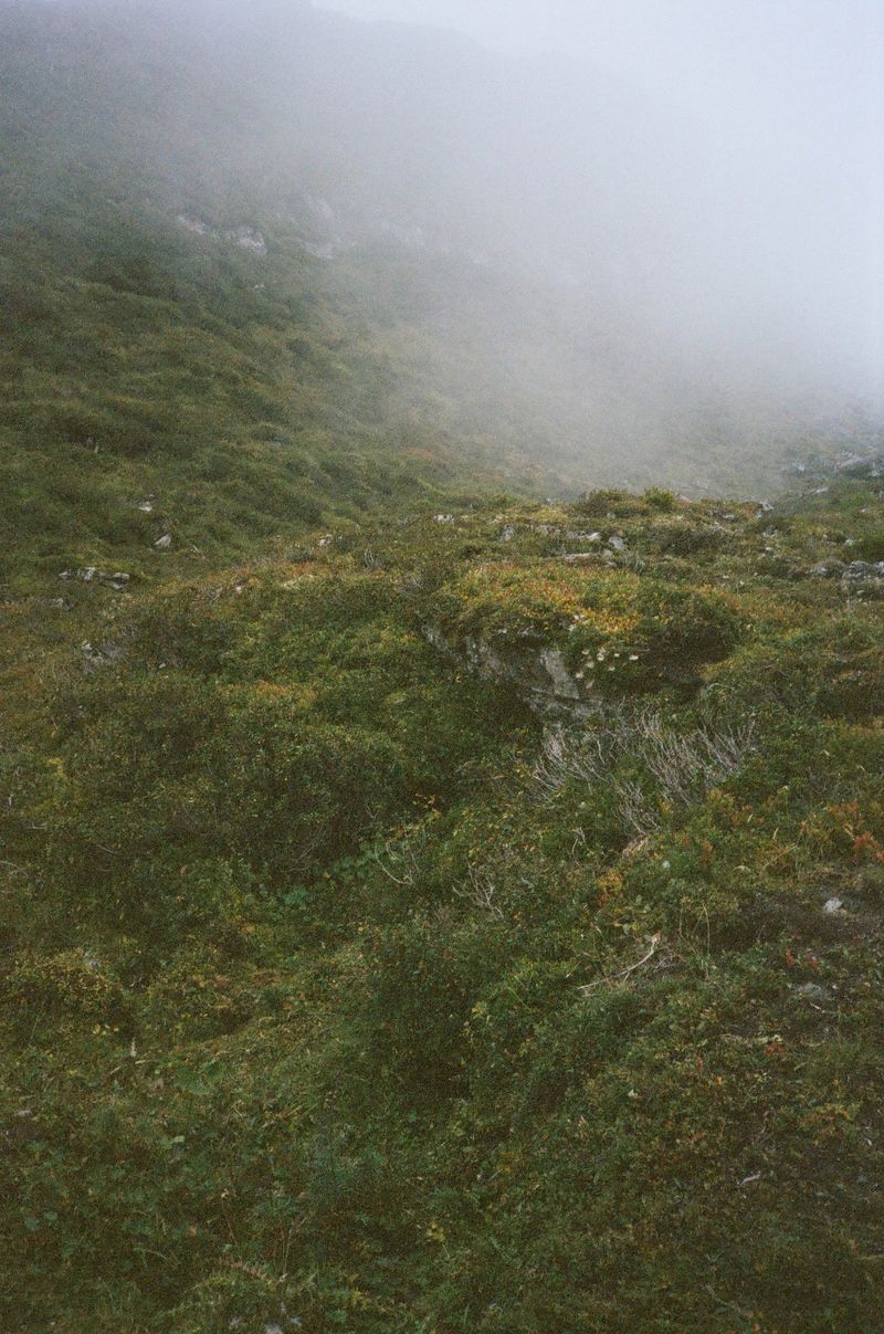 © Danielle Liniger - Image from the Steine glitzern im Dunkeln photography project