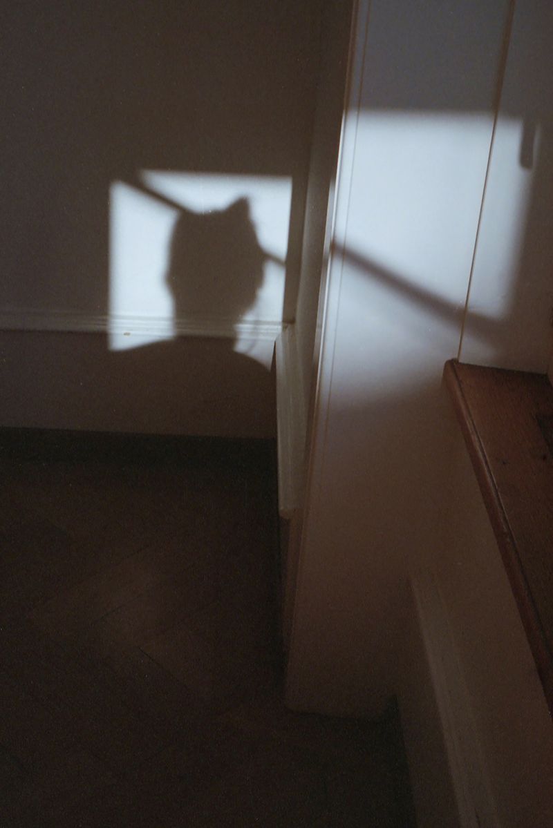 © Danielle Liniger - Self
