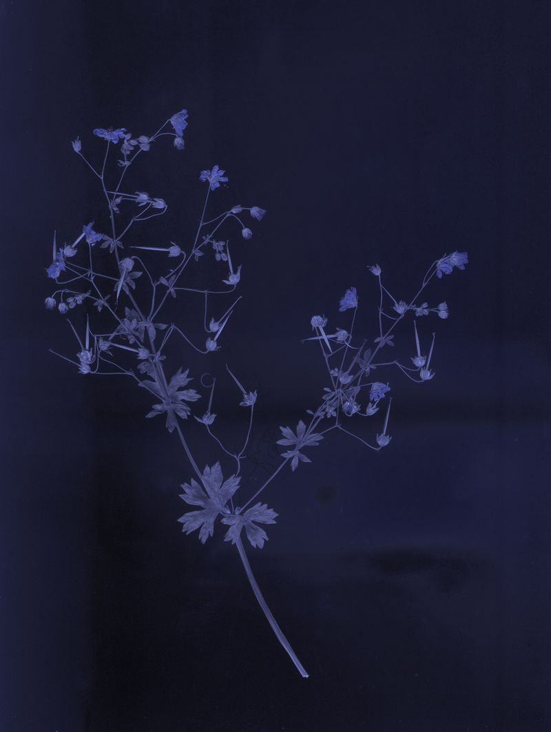 © Danielle Liniger - Image from the stones to carry photography project