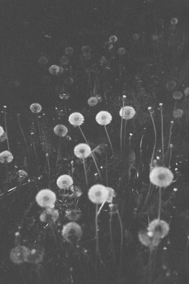 © Danielle Liniger - Image from the stones to carry photography project