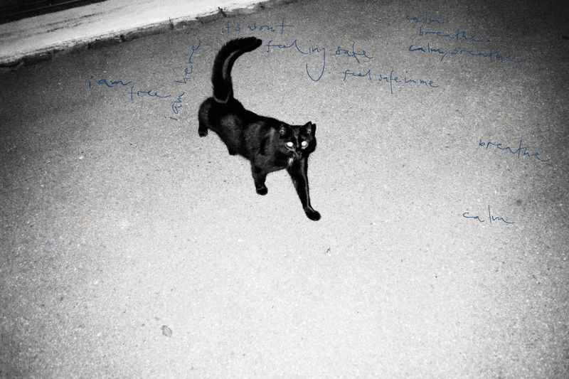 © Danielle Liniger - Image from the stones to carry photography project
