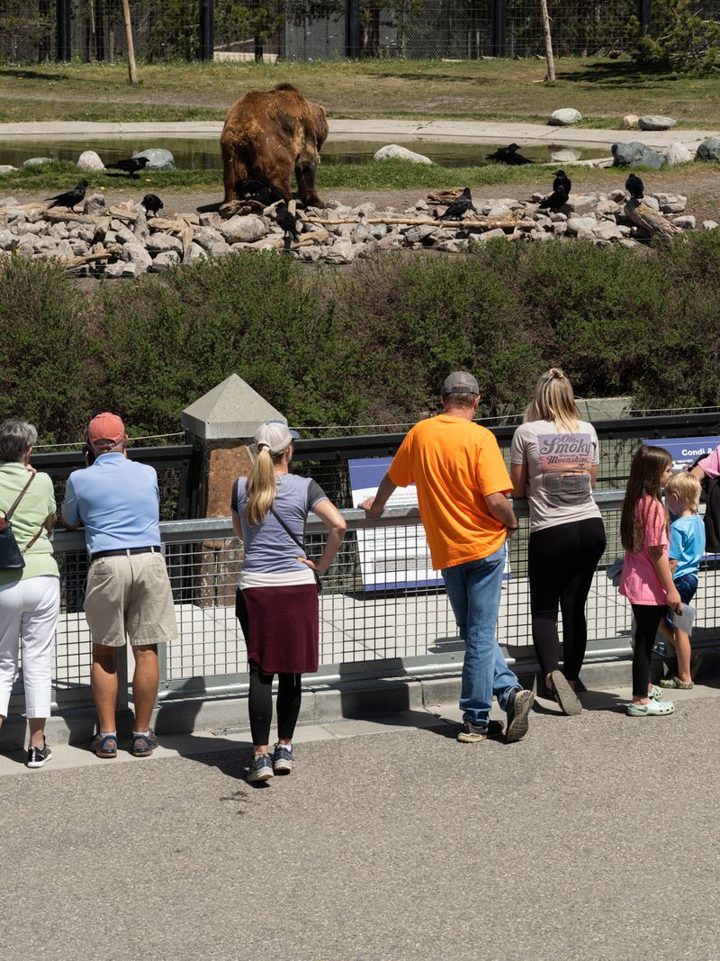 © Christopher Valentine - Image from the Taking Note In The Splendor photography project