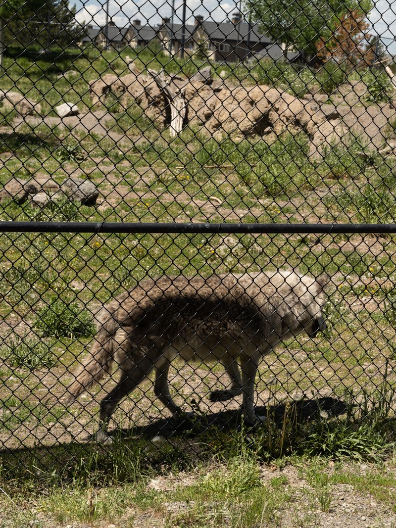 © Christopher Valentine - Image from the Taking Note In The Splendor photography project