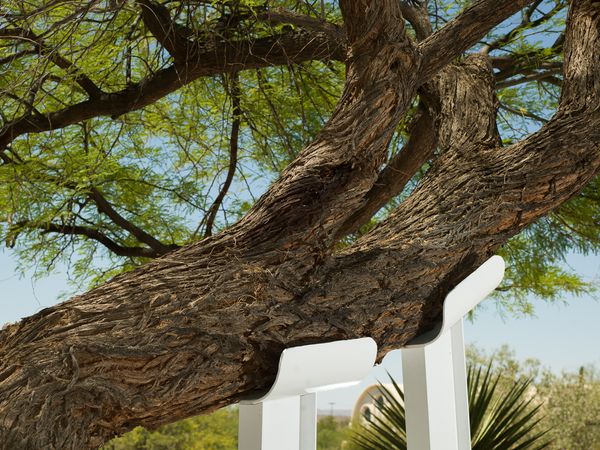 © Christopher Valentine - Image from the Taking Note In The Splendor photography project