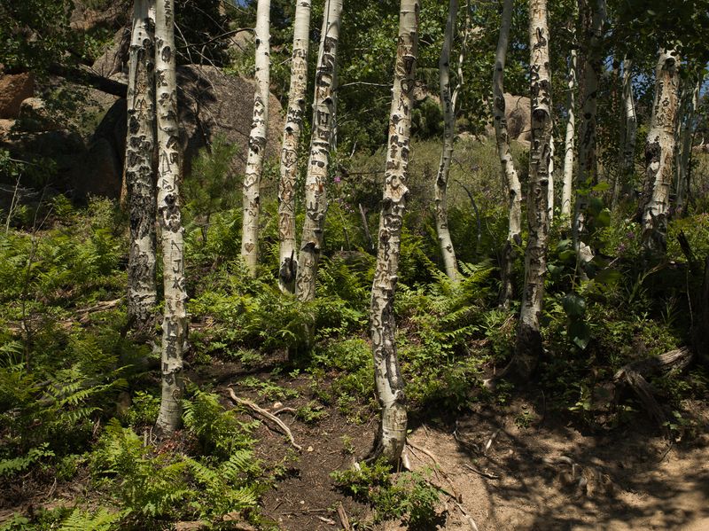 © Christopher Valentine - Image from the Taking Note In The Splendor photography project