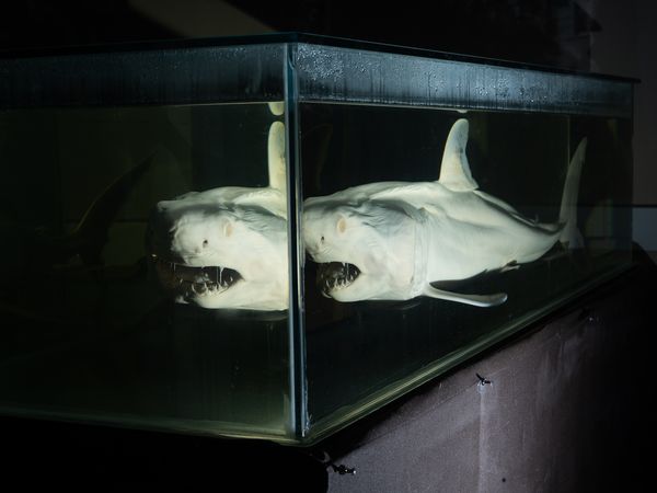 © Christopher Valentine - Image from the Taking Note In The Splendor photography project