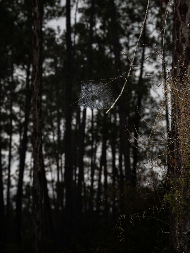 © Christopher Valentine - Image from the Taking Note In The Splendor photography project