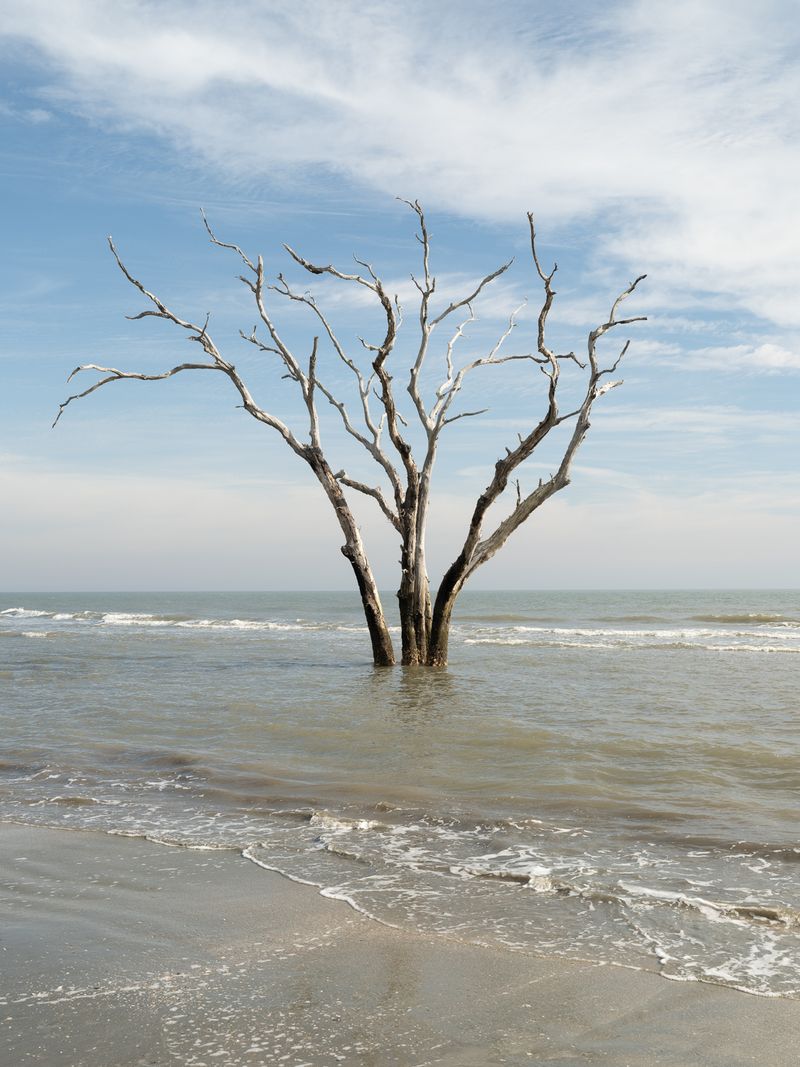 © Christopher Valentine - Image from the Taking Note In The Splendor photography project