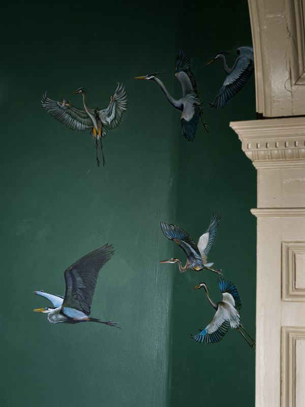 © Christopher Valentine - Image from the Taking Note In The Splendor photography project