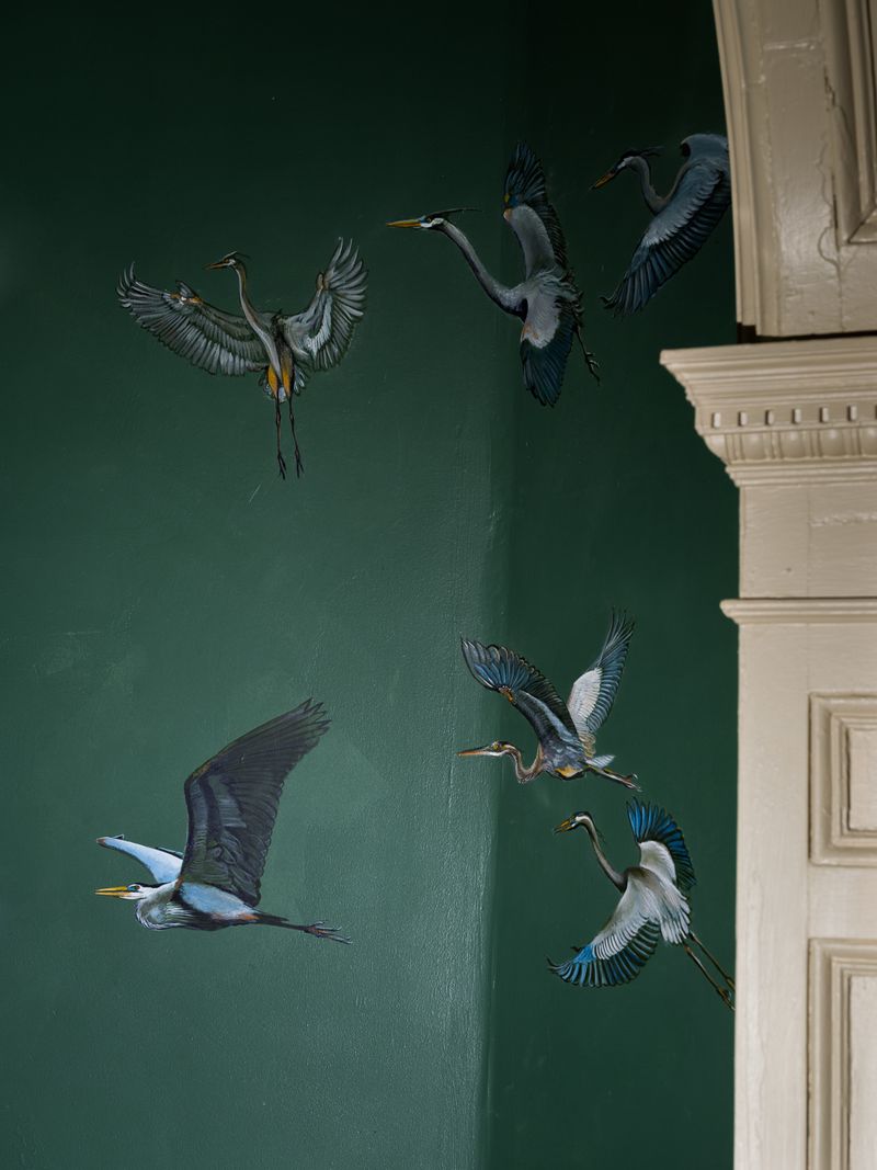 © Christopher Valentine - Image from the Taking Note In The Splendor photography project