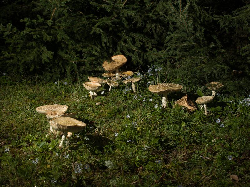 © Christopher Valentine - Image from the Taking Note In The Splendor photography project