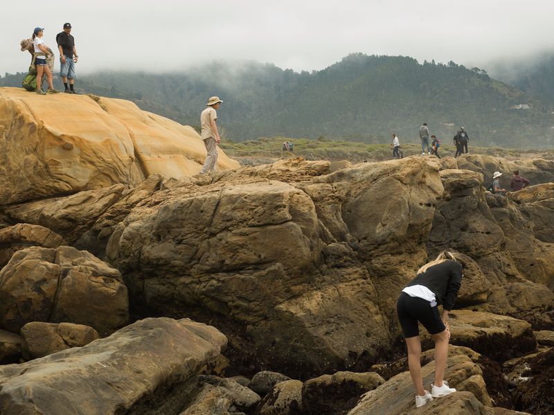 © Christopher Valentine - Image from the Taking Note In The Splendor photography project