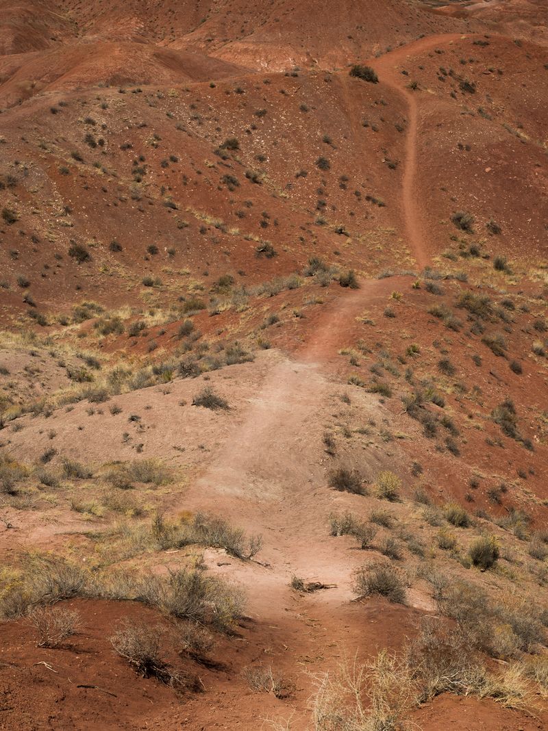 © Christopher Valentine - Image from the Taking Note In The Splendor photography project