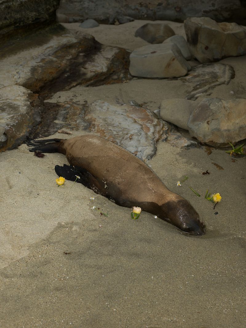 © Christopher Valentine - Image from the Taking Note In The Splendor photography project