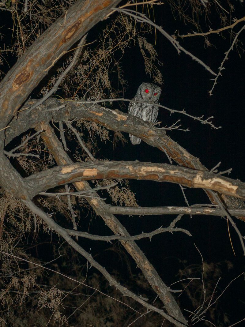 © Christopher Valentine - Image from the Taking Note In The Splendor photography project