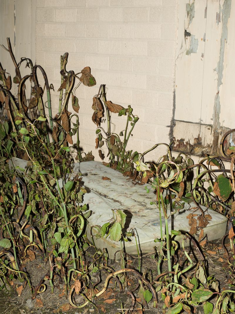 © Christopher Valentine - Image from the Taking Note In The Splendor photography project