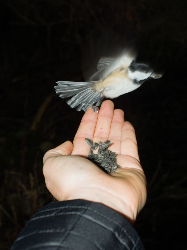 © Christopher Valentine - Image from the Taking Note In The Splendor photography project