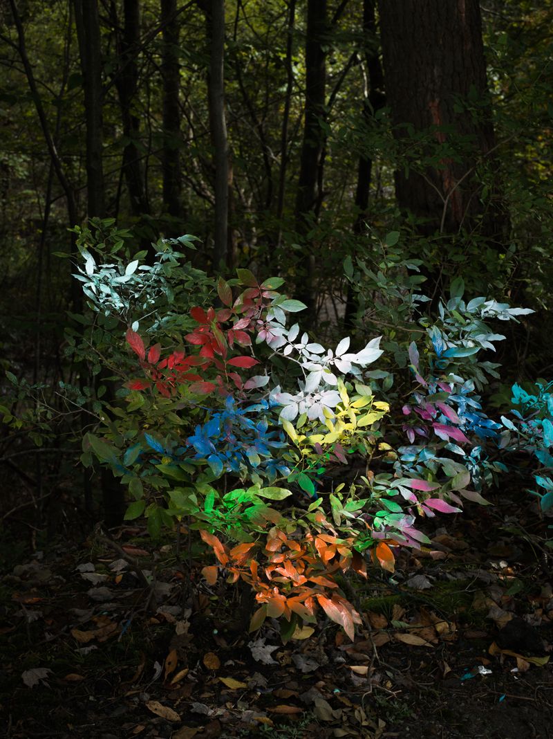 © Christopher Valentine - Image from the Taking Note In The Splendor photography project