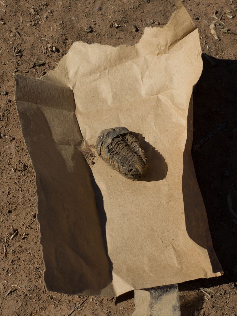 © Christopher Valentine - Image from the Taking Note In The Splendor photography project