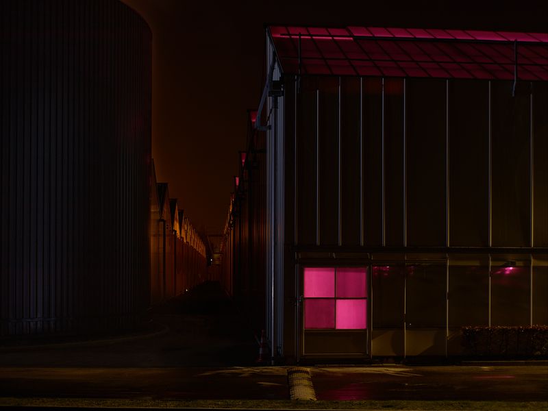 © Anton Bossenbroek - Greenhouse in Westland in winter.