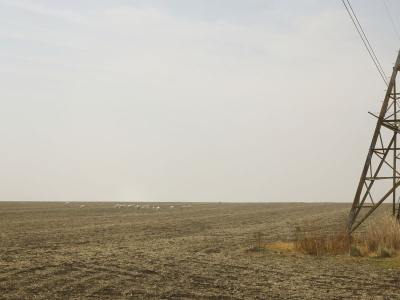 © Anton Bossenbroek - Agricultural field above the Shondoni Coal mine, 2024