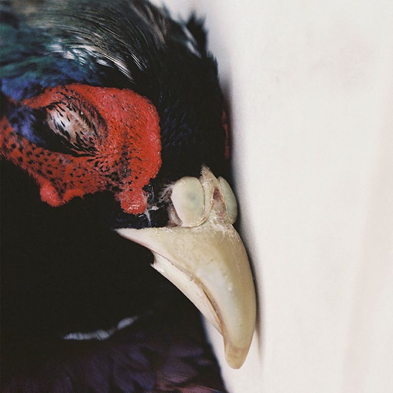 © Juliette Alhmah - eye #1, from toujours diane, 2023