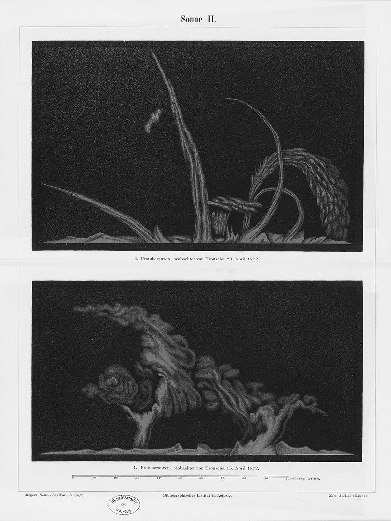 © Juliette Alhmah - Image from the Toujours Diane (Forever Diane) photography project