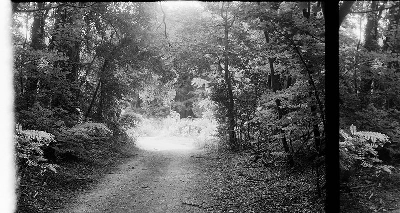 © Juliette Alhmah - the oasis, from toujours diane, 2023