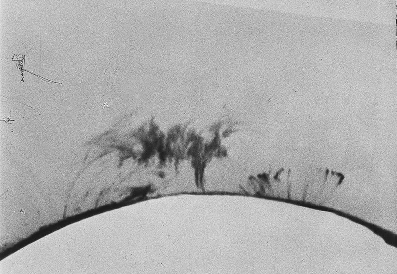 © Juliette Alhmah - Image from the Toujours Diane (Forever Diane) photography project