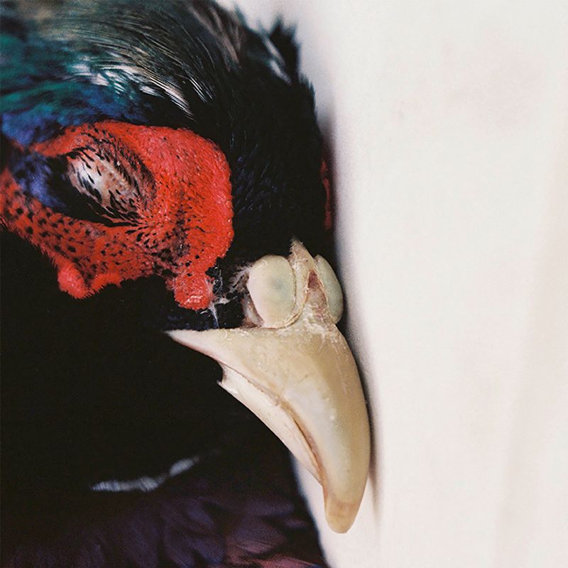 © Juliette Alhmah - eye #1, from toujours diane, 2023