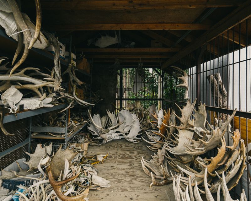 © Andrea Pugiotto - Image from the The End of the road photography project