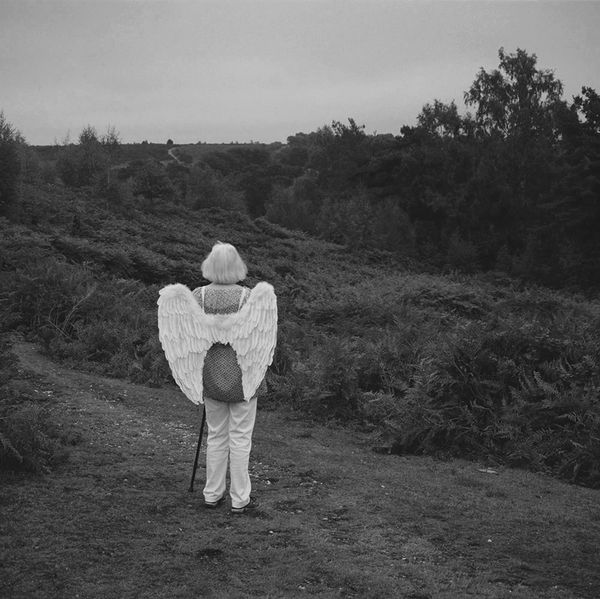 © Cheryl Newman - Image from the last Night We Had the Same Dream, that the tree went missing photography project