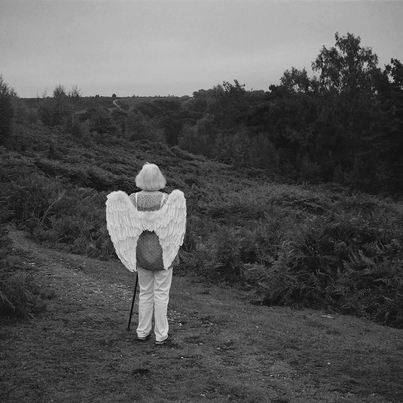 © Cheryl Newman - Image from the last Night We Had the Same Dream, that the tree went missing photography project