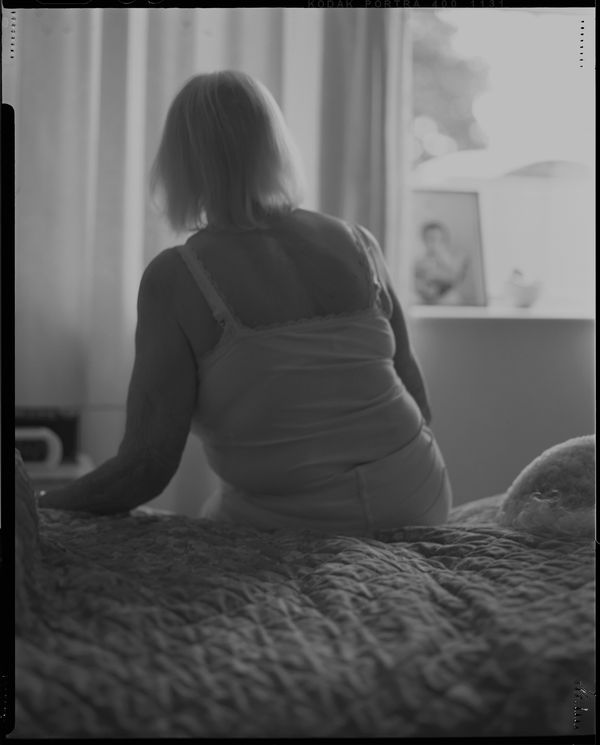 © Cheryl Newman - Image from the last Night We Had the Same Dream, that the tree went missing photography project