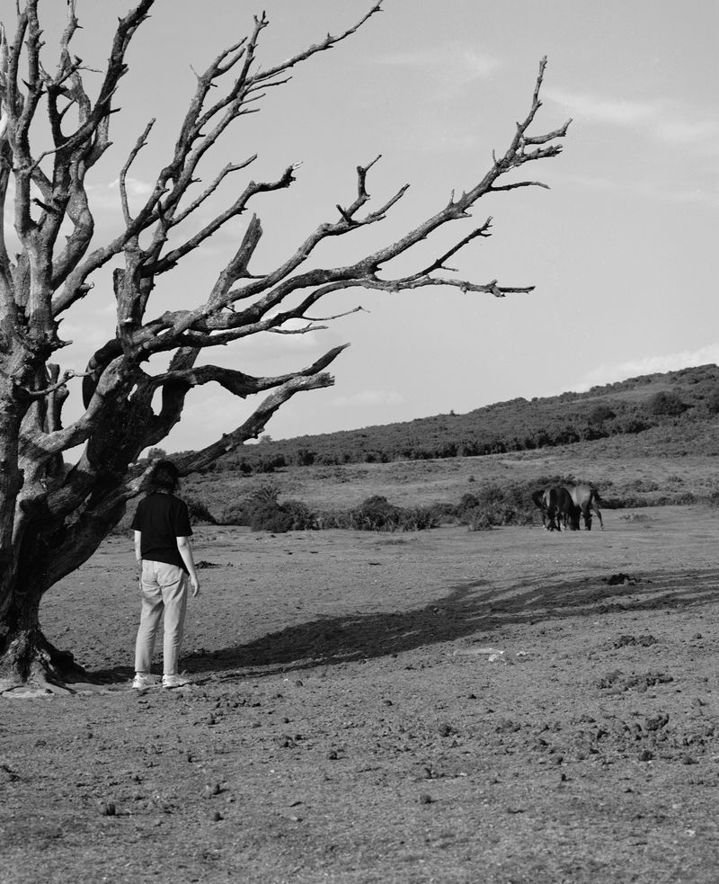 © Cheryl Newman - Image from the Six Weeks Away photography project