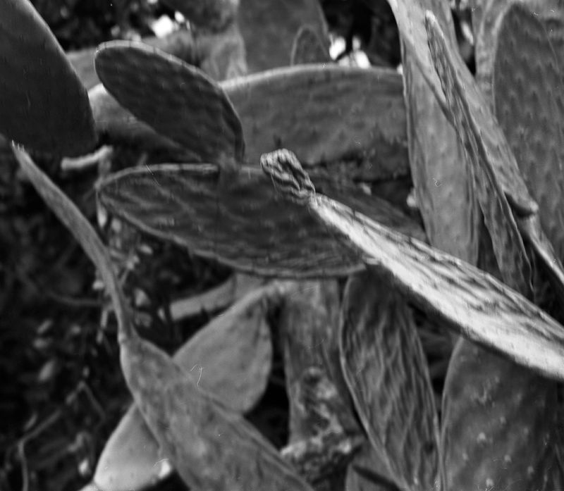 © Cheryl Newman - Image from the Searching For Aphrodite photography project