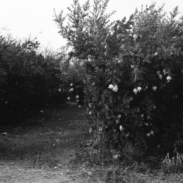 © Cheryl Newman - Image from the Searching For Aphrodite photography project