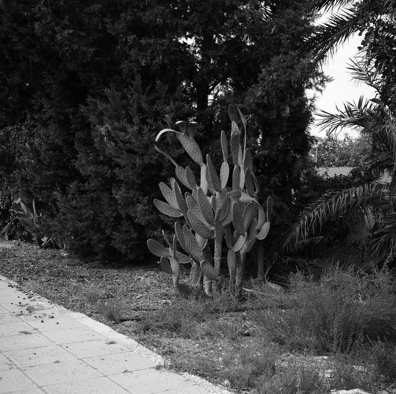 © Cheryl Newman - Image from the Searching For Aphrodite photography project