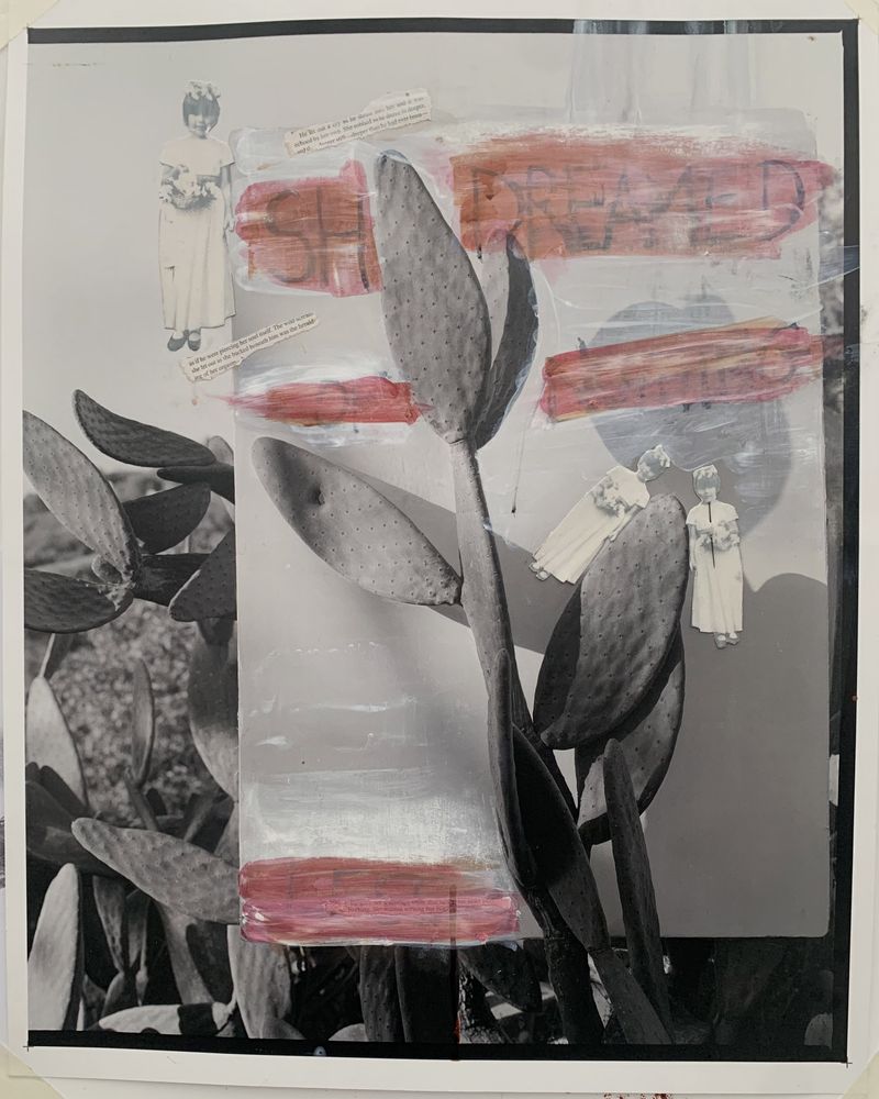 © Cheryl Newman - Image from the PRICK - Searching for Aphrodite photography project