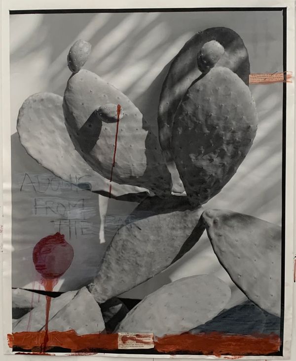 © Cheryl Newman - Image from the PRICK - Searching for Aphrodite photography project