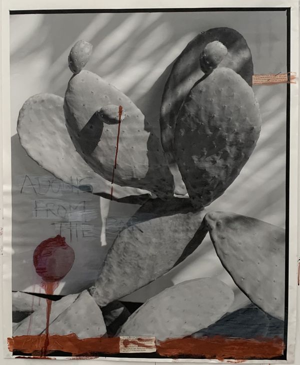 © Cheryl Newman - Image from the PRICK - Searching for Aphrodite photography project